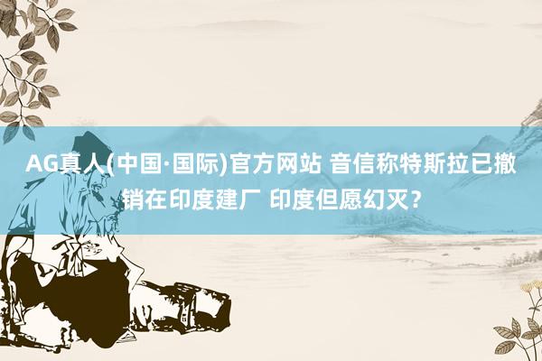 AG真人(中国·国际)官方网站 音信称特斯拉已撤销在印度建厂 印度但愿幻灭？