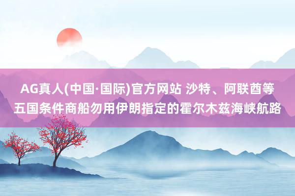 AG真人(中国·国际)官方网站 沙特、阿联酋等五国条件商船勿用伊朗指定的霍尔木兹海峡航路
