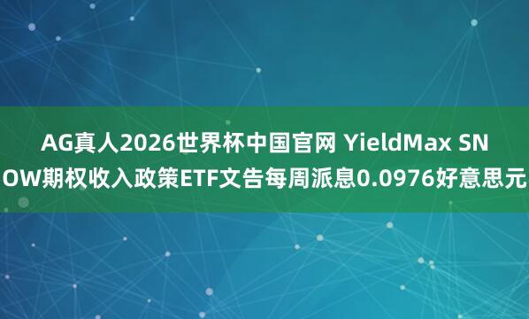 AG真人2026世界杯中国官网 YieldMax SNOW期权收入政策ETF文告每周派息0.0976好意思元