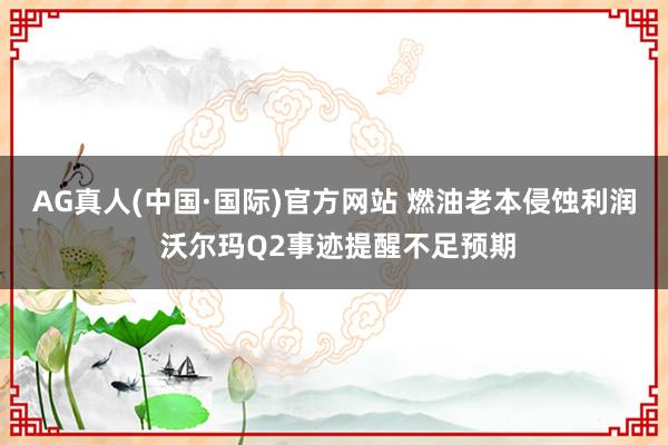 AG真人(中国·国际)官方网站 燃油老本侵蚀利润 沃尔玛Q2事迹提醒不足预期