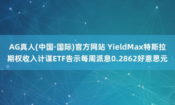 AG真人(中国·国际)官方网站 YieldMax特斯拉期权收入计谋ETF告示每周派息0.2862好意思元