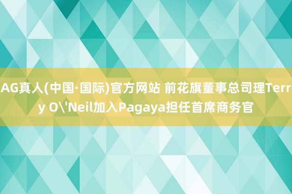 AG真人(中国·国际)官方网站 前花旗董事总司理Terry O'Neil加入Pagaya担任首席商务官