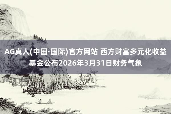 AG真人(中国·国际)官方网站 西方财富多元化收益基金公布2026年3月31日财务气象