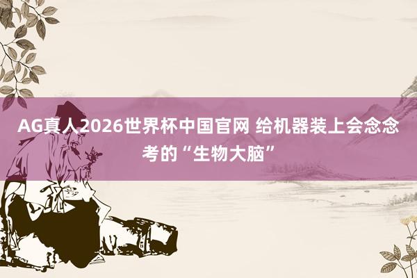 AG真人2026世界杯中国官网 给机器装上会念念考的“生物大脑”