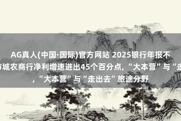 AG真人(中国·国际)官方网站 2025银行年报不雅察室|27家上市城农商行净利增速进出45个百分点， “大本营”与“走出去”旅途分野