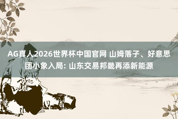 AG真人2026世界杯中国官网 山姆落子、好意思团小象入局: 山东交易邦畿再添新能源