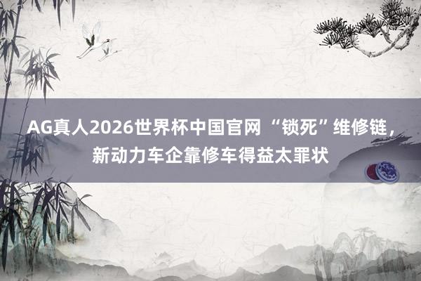 AG真人2026世界杯中国官网 “锁死”维修链，新动力车企靠修车得益太罪状