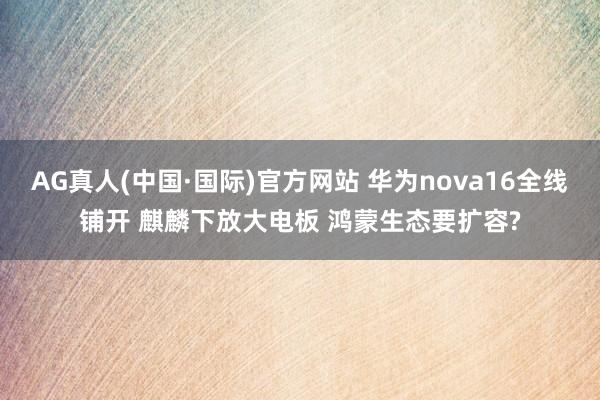 AG真人(中国·国际)官方网站 华为nova16全线铺开 麒麟下放大电板 鸿蒙生态要扩容?